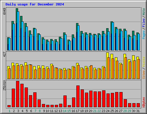 Daily usage for December 2024