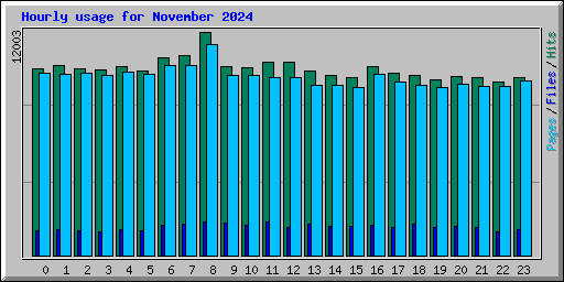 Hourly usage for November 2024