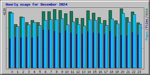 Hourly usage for December 2024