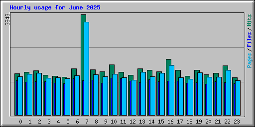 Hourly usage for June 2025