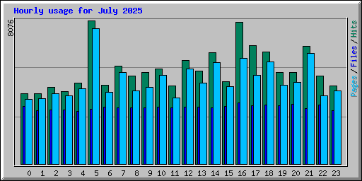 Hourly usage for July 2025